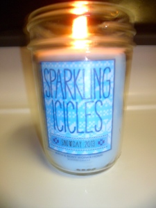 This is for my kitchen and so far has made my whole house smell like a winter wonderland of happiness. 